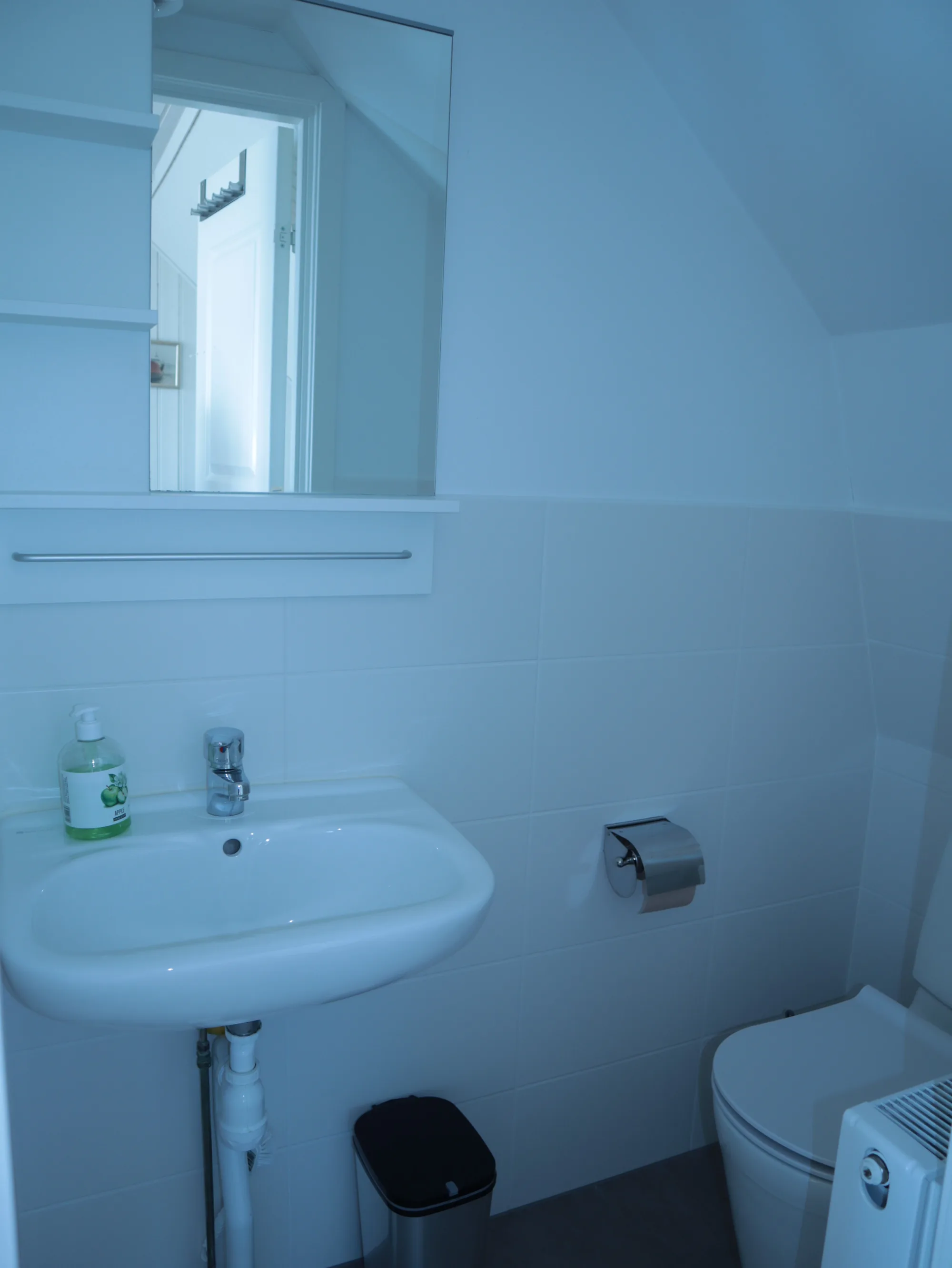 Modernes Badezimmer mit Waschbecken und WC